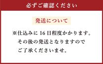 【4ヶ月定期便】雪あかり特製 サーモンのスモーク 生ハム 250g