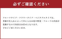 雪あかり特製 カクテル チーズ 4種 詰め合わせ 2個セット 各180g 計1.44kg