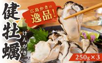 広島かきの逸品 【健牡蠣(けんがき)】 自社ブランド 地御前 生牡蠣むき身 250g×3　※北海道・沖縄・一部離島配送不可※