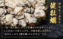 広島かきの逸品 【健牡蠣(けんがき)】 自社ブランド 地御前 生牡蠣むき身 250g×3　※北海道・沖縄・一部離島配送不可※