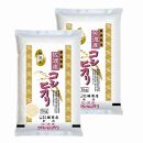 【定期便】無洗米佐渡産コシヒカリ10kg（5kg×2本）×3回 令和6年米