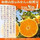 紀州和歌山まるごとみかんゼリー 145g×6個 化粧箱入【2024年10月1日より発送予定】【UT27】