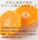 紀州和歌山まるごとみかんゼリー 145g×6個 化粧箱入【2024年10月1日より発送予定】【UT27】