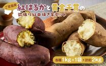 【ご家庭用】冷凍 やきいも 『紅はるか & 黄金千貫 欲張り紅白セット』(各種 約1kg × 1袋　合計 約2kg )