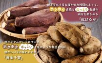 【ご家庭用】冷凍 やきいも 『紅はるか & 黄金千貫 欲張り紅白セット』(各種 約1kg × 1袋　合計 約2kg )