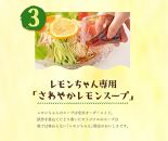 冷やし中華 生レモンちゃん 6食 ( 麺 90g & さわやかレモンスープ× 各6袋 )｜冷麺