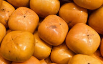 和歌山産貯蔵たねなし柿化粧箱入り（6玉～8玉入り）★2025年12月中旬頃より順次発送［TM124］