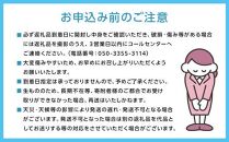 シャイン マスカット 2024年 先行予約 「MiiinoMuscat」4房（約3.2kg）ブドウ 葡萄  岡山 国産 フルーツ 果物 ギフト