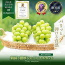 ぶどう&nbsp;2026年&nbsp;&nbsp;シャイン&nbsp;マスカット&nbsp;2房（合計1.3kg以上）【第1回全国ぶどう選手権入賞】|&nbsp;シャインマスカット&nbsp;贈答クラス&nbsp;&nbsp;ブドウ&nbsp;葡萄&nbsp;&nbsp;岡山県産&nbsp;国産&nbsp;フルーツ&nbsp;果物&nbsp;ギフト&nbsp;OEC&nbsp;KINGDOM&nbsp;ぶどう家