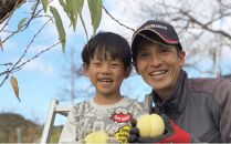 桃［2024年先行予約］岡山の 白桃 約1.4kg 4～6玉 贈答用 岡山市一宮産 きびファーム美果美香