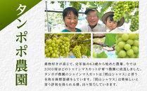 ぶどう&nbsp;2026年&nbsp;&nbsp;シャインマスカット&nbsp;2房（約1kg）&nbsp;ブドウ&nbsp;葡萄&nbsp;岡山市産&nbsp;国産&nbsp;フルーツ&nbsp;果物&nbsp;ギフトタンポポ農園&nbsp;|&nbsp;フルーツ&nbsp;果物&nbsp;くだもの&nbsp;ぶどう&nbsp;ブドウ&nbsp;シャインマスカット&nbsp;国産&nbsp;岡山県産&nbsp;食品&nbsp;人気&nbsp;おすすめ&nbsp;&nbsp;送料無料&nbsp;ギフト&nbsp;贈り物&nbsp;贈答品&nbsp;プレゼント&nbsp;果物&nbsp;くだもの&nbsp;フルーツ&nbsp;ぶどう&nbsp;ブドウ&nbsp;シャインマスカット