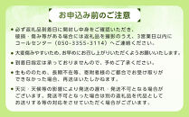 ぶどう&nbsp;2026年&nbsp;&nbsp;シャインマスカット&nbsp;2房（約1kg）&nbsp;ブドウ&nbsp;葡萄&nbsp;岡山市産&nbsp;国産&nbsp;フルーツ&nbsp;果物&nbsp;ギフトタンポポ農園&nbsp;|&nbsp;フルーツ&nbsp;果物&nbsp;くだもの&nbsp;ぶどう&nbsp;ブドウ&nbsp;シャインマスカット&nbsp;国産&nbsp;岡山県産&nbsp;食品&nbsp;人気&nbsp;おすすめ&nbsp;&nbsp;送料無料&nbsp;ギフト&nbsp;贈り物&nbsp;贈答品&nbsp;プレゼント&nbsp;果物&nbsp;くだもの&nbsp;フルーツ&nbsp;ぶどう&nbsp;ブドウ&nbsp;シャインマスカット