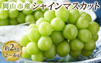 ぶどう 2025年 先行予約 シャイン マスカット 2～4房（約2kg） ブドウ 葡萄 岡山市産 国産 フルーツ 果物 ギフトタンポポ農園