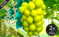 ぶどう&nbsp;2026年&nbsp;&nbsp;シャイン&nbsp;マスカット&nbsp;約1kg&nbsp;2房&nbsp;減農薬&nbsp;ハウス栽培&nbsp;ブドウ&nbsp;葡萄&nbsp;&nbsp;岡山県産&nbsp;国産&nbsp;フルーツ&nbsp;果物&nbsp;ギフト&nbsp;ばんの農園