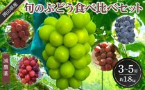 ぶどう 2025年 先行予約 旬のぶどう食べ比べセット 約1.8kg 3～5房 減農薬 ハウス栽培 ブドウ 葡萄  岡山県産 国産 フルーツ 果物 ギフト ばんの農園