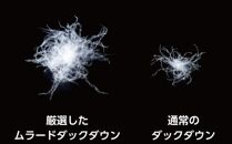 羽毛 布団 岡山市で作られた 羽毛合い掛けふとん 柄お任せ ホワイトダック 93% シングルサイズ 寝具：ピンク系