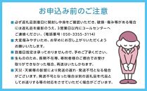 岡山県産 シャインマスカット・ピオーネ 2種 詰め合わせ 計2kg（3～4房）ぶどう園AC