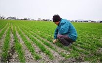 令和6年産 岡山西大寺の幸せもち麦(キラリモチ) 数量限定 2kg(1kg×2) 