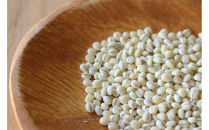 令和7年産&nbsp;岡山西大寺の幸せもち麦(キラリモチ)&nbsp;数量限定&nbsp;2kg(1kg×2)