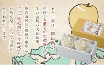 岡山県産 あたご梨 2玉 合計約1.8kg 梨 なし 果物 フルーツ 2024年 