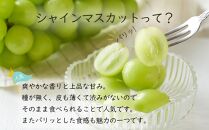 岡山県産 ぶどう 2024年 先行予約 シャイン マスカット 晴王 約2kg 3～6房 種無し ブドウ 葡萄 フルーツ 果物 ギフト 