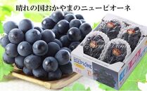 岡山県産 ぶどう 2024年 先行予約 ニューピオーネ 約2kg 3～6房 種無し ブドウ 葡萄 フルーツ 果物 ギフト 