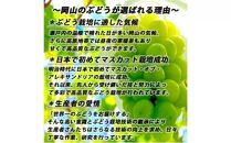 ※品切れ※ぶどう 2024年 先行予約 シャイン マスカット 【9月上旬～順次発送分】約2kg 糖度抜群！ ブドウ 葡萄 岡山県産 国産 フルーツ 果物 ギフト