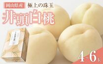 桃 2025年 先行予約 井頭 白桃 4～6玉入り 1.5kg規格箱 もも モモ 岡山県産 国産 フルーツ 果物 ギフト 井頭栄果園