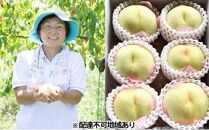 岡山市産 白桃 ご家庭用 約2kg（6～8玉）翁美の里＜2024年7月～8月上旬発送＞