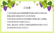 ぶどう［2025年先行予約］シャインマスカット 5房～10房（5kg以上）岡山県産