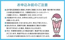 桃 2025年 先行予約 岡山の 白桃（早生、中生種）約1.6kg 4~6玉 もも モモ 岡山県産 国産 フルーツ 果物 ギフト 横木農園