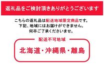 ぶどう 2024年 先行予約 シャイン マスカット 2房 合計約1.3kg 贈答用 ブドウ 葡萄 岡山県産 国産 フルーツ 果物 ギフト 横木農園