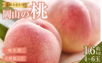 桃 2024年 先行予約 岡山の桃（晩生種）約1.6kg 4~6玉 もも モモ 岡山県産 国産 フルーツ 果物 ギフト 横木農園