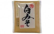 白みそ　10個（1個500g） 