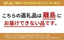 【先行予約】冷やしあまざけ　6本（1本500ml） [No.5220-0079]