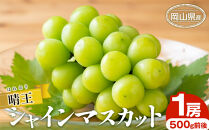 シャイン&nbsp;マスカット&nbsp;2026年&nbsp;&nbsp;晴王&nbsp;1房&nbsp;500g前後&nbsp;マスカット&nbsp;ブドウ&nbsp;葡萄&nbsp;&nbsp;岡山県産&nbsp;国産&nbsp;フルーツ&nbsp;果物&nbsp;ギフト
