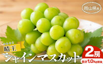 シャインマスカット&nbsp;2026年&nbsp;&nbsp;晴王&nbsp;2房&nbsp;合計1.0kg前後&nbsp;マスカット&nbsp;ブドウ&nbsp;葡萄&nbsp;&nbsp;岡山県産&nbsp;国産&nbsp;フルーツ&nbsp;果物&nbsp;ギフト