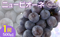 ぶどう&nbsp;2026年&nbsp;&nbsp;ニュー&nbsp;ピオーネ&nbsp;1房&nbsp;500g前後&nbsp;ブドウ&nbsp;葡萄&nbsp;&nbsp;岡山県産&nbsp;国産&nbsp;フルーツ&nbsp;果物&nbsp;ギフト