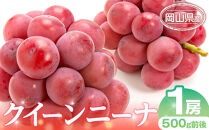 ぶどう&nbsp;2026年&nbsp;&nbsp;クイーンニーナ&nbsp;1房&nbsp;500g前後&nbsp;ブドウ&nbsp;葡萄&nbsp;&nbsp;岡山県産&nbsp;国産&nbsp;フルーツ&nbsp;果物&nbsp;ギフト