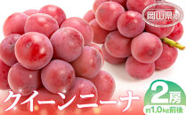 ぶどう&nbsp;2026年&nbsp;&nbsp;クイーンニーナ&nbsp;2房&nbsp;約1.0kg前後&nbsp;ブドウ&nbsp;葡萄&nbsp;&nbsp;岡山県産&nbsp;国産&nbsp;フルーツ&nbsp;果物&nbsp;ギフト