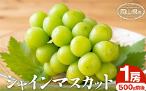 ぶどう&nbsp;2026年&nbsp;シャインマスカット&nbsp;1房&nbsp;500g前後&nbsp;岡山県産