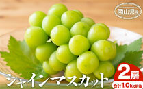ぶどう&nbsp;2026年&nbsp;シャインマスカット&nbsp;2房&nbsp;合計1.0kg前後&nbsp;岡山県産