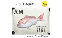デジタル魚拓 A1サイズ オーダーメイド 和紙 フィッシング 釣り 魚拓[No.5220-1562]