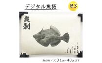 デジタル魚拓 B3サイズ オーダーメイド 和紙 フィッシング 釣り 魚拓[No.5220-1567]