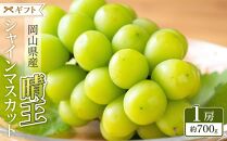 ぶどう&nbsp;2025年&nbsp;&nbsp;シャイン&nbsp;マスカット&nbsp;晴王&nbsp;1房&nbsp;約700g&nbsp;ブドウ&nbsp;葡萄&nbsp;&nbsp;岡山県産&nbsp;国産&nbsp;フルーツ&nbsp;果物&nbsp;ギフト