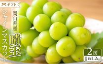 ぶどう&nbsp;2025年&nbsp;&nbsp;シャイン&nbsp;マスカット&nbsp;晴王&nbsp;2房（合計約1.2kg）&nbsp;ブドウ&nbsp;葡萄&nbsp;&nbsp;岡山県産&nbsp;国産&nbsp;フルーツ&nbsp;果物&nbsp;ギフト