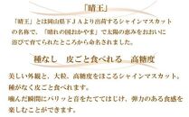 ぶどう 2024年 先行予約 ご家庭用 シャイン マスカット 晴王 3～6房 約2kg ブドウ 葡萄  岡山県産 国産 フルーツ 果物