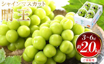 ぶどう&nbsp;2026年&nbsp;&nbsp;ご家庭用&nbsp;シャイン&nbsp;マスカット&nbsp;晴王&nbsp;3～6房&nbsp;約2kg&nbsp;ブドウ&nbsp;葡萄&nbsp;&nbsp;岡山県産&nbsp;国産&nbsp;フルーツ&nbsp;果物
