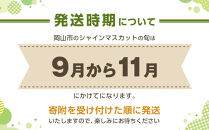 ぶどう&nbsp;2026年&nbsp;&nbsp;ご家庭用&nbsp;シャイン&nbsp;マスカット&nbsp;晴王&nbsp;3～6房&nbsp;約1.5kg&nbsp;ブドウ&nbsp;葡萄&nbsp;&nbsp;岡山県産&nbsp;国産&nbsp;フルーツ&nbsp;果物