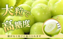 ぶどう&nbsp;2026年&nbsp;&nbsp;ご家庭用&nbsp;シャイン&nbsp;マスカット&nbsp;晴王&nbsp;約500g×2房&nbsp;ブドウ&nbsp;葡萄&nbsp;&nbsp;岡山県産&nbsp;国産&nbsp;フルーツ&nbsp;果物
